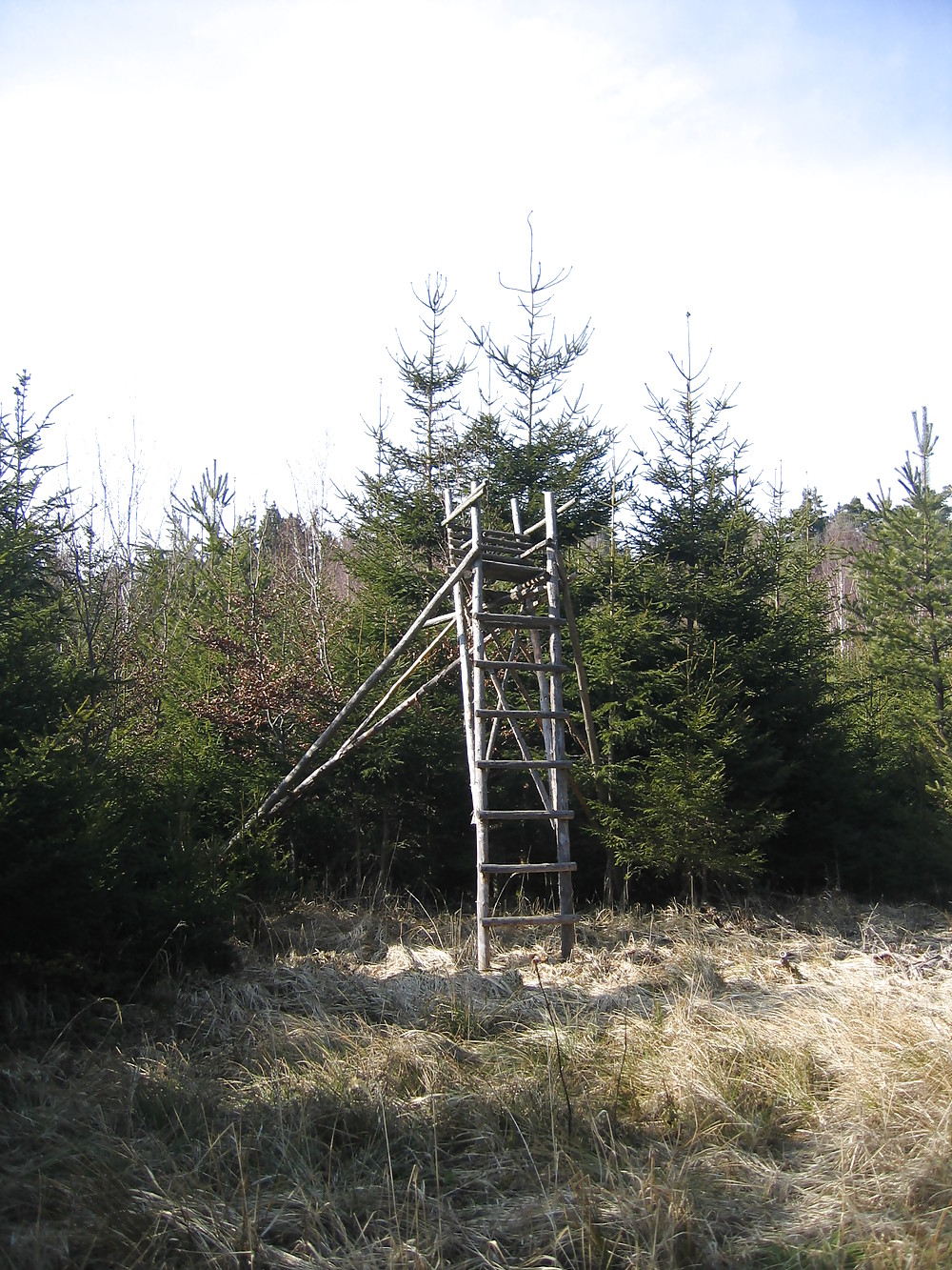 Im Wald auf dem Hochstand ... porn gallery