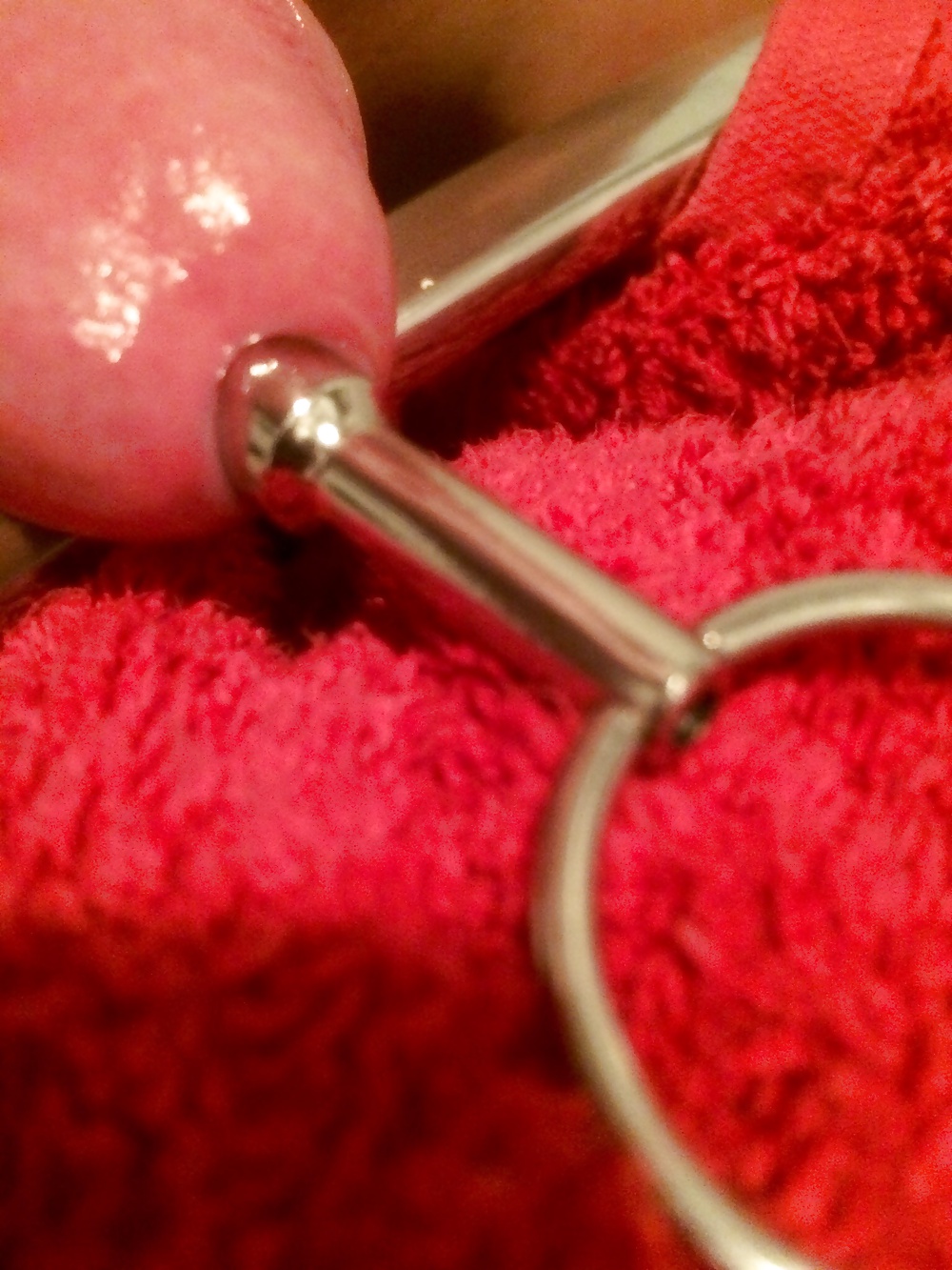 Hot cock tonight 10 mm sounding plug porn gallery