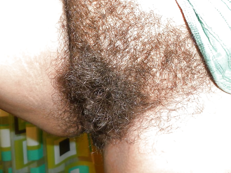 Random Hairy Hotness porn gallery