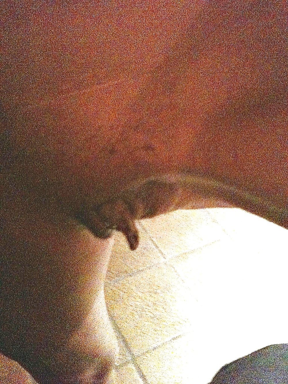 Teen Hairy Panties porn gallery