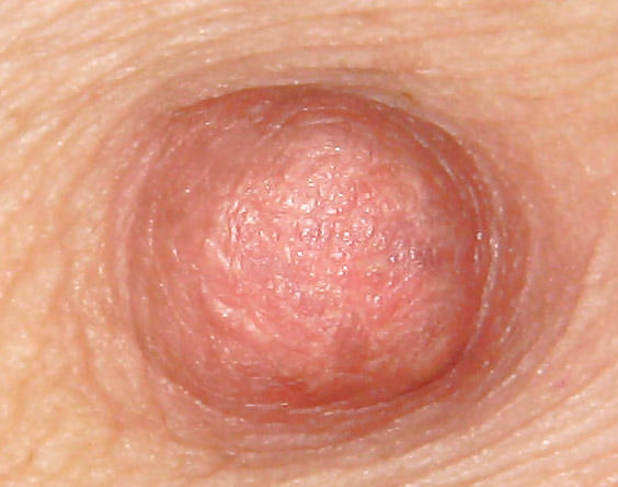 tits porn gallery