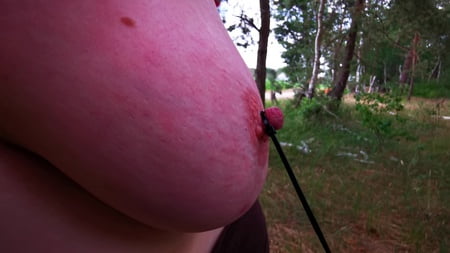 painful using her nipples in public         