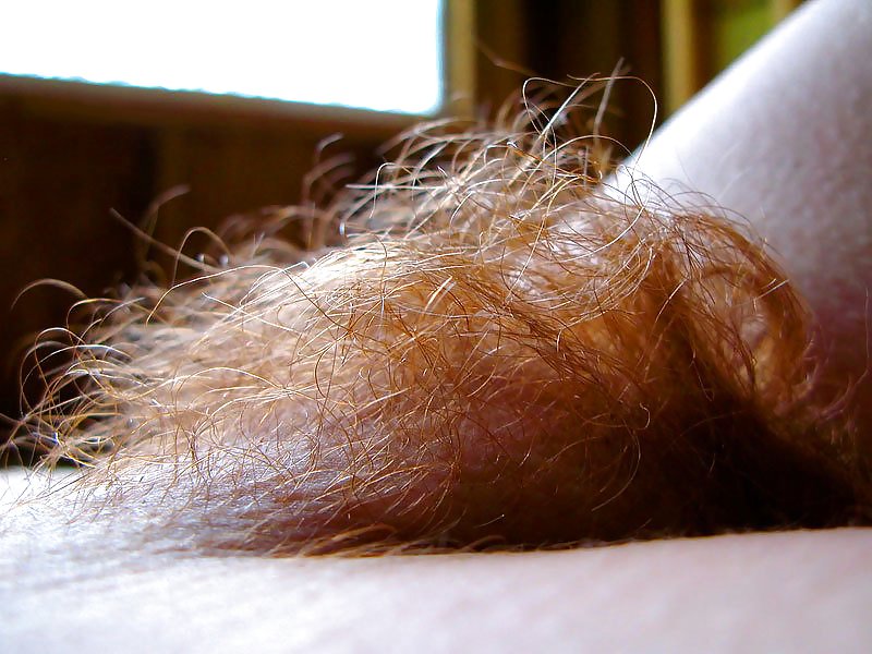 Hairy pussy please porn gallery