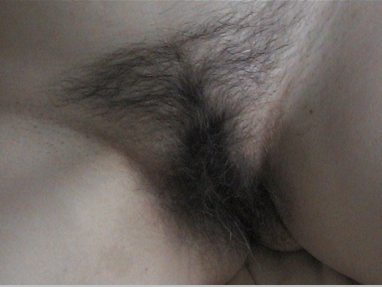 Amateur Hairy Pussy porn gallery