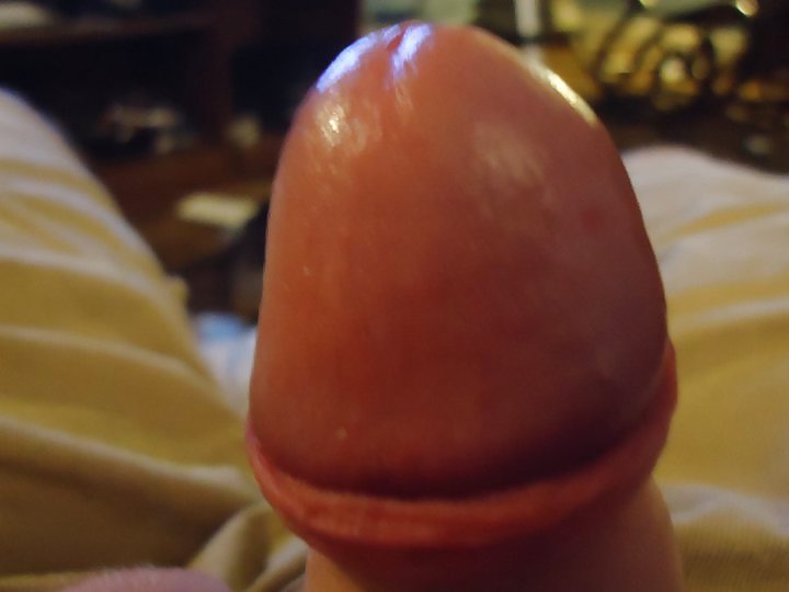 my cock porn gallery