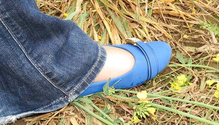 blue Flats with Nylons Outdoor