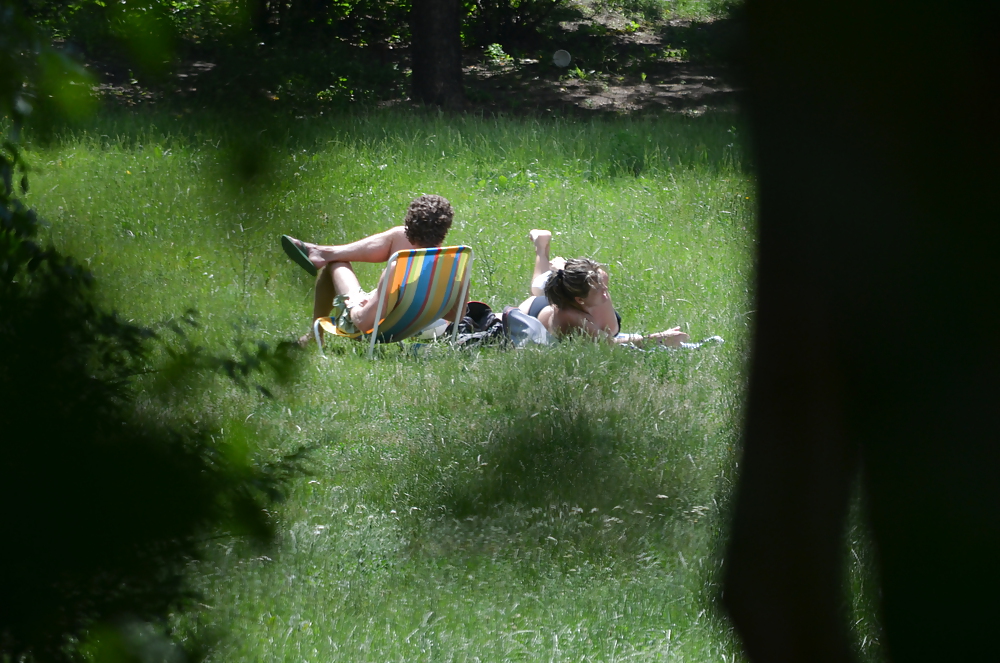 girl sunbathing in the park I porn gallery