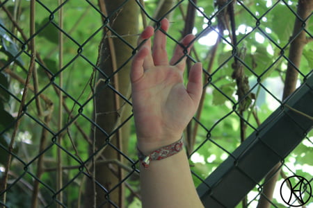 die parkbank the park bench iv         