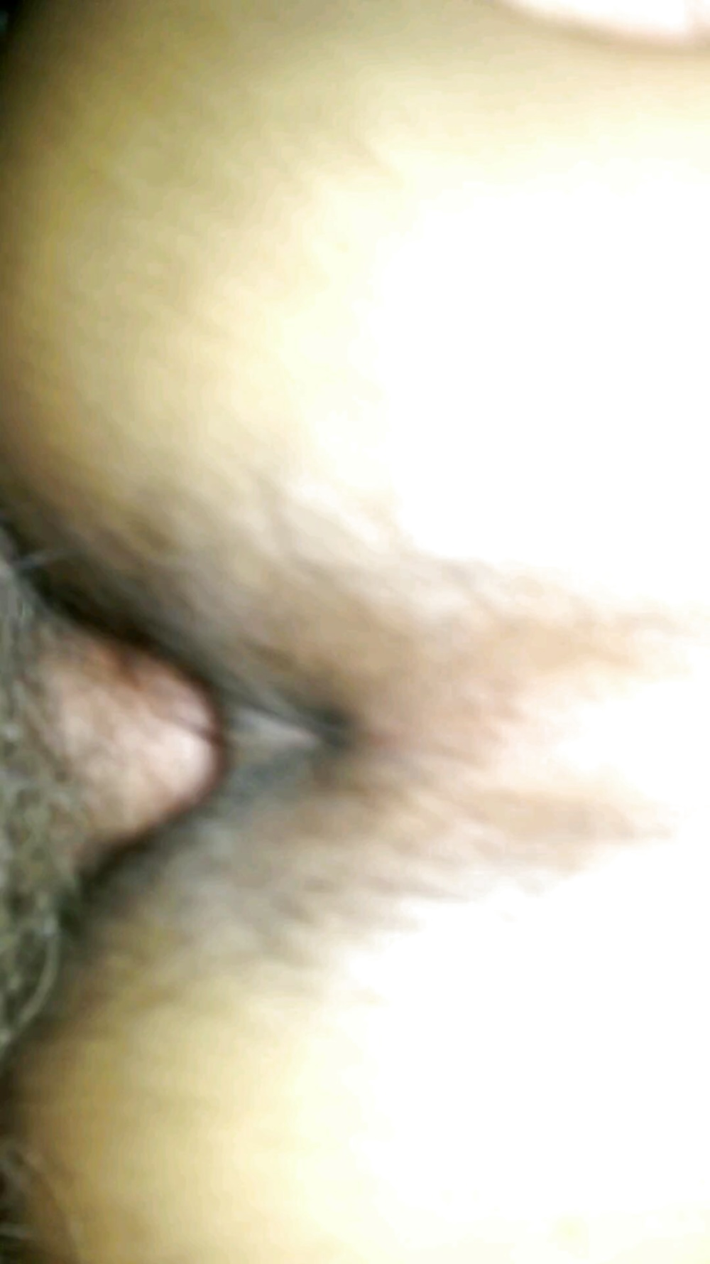 Indian amateur porn gallery