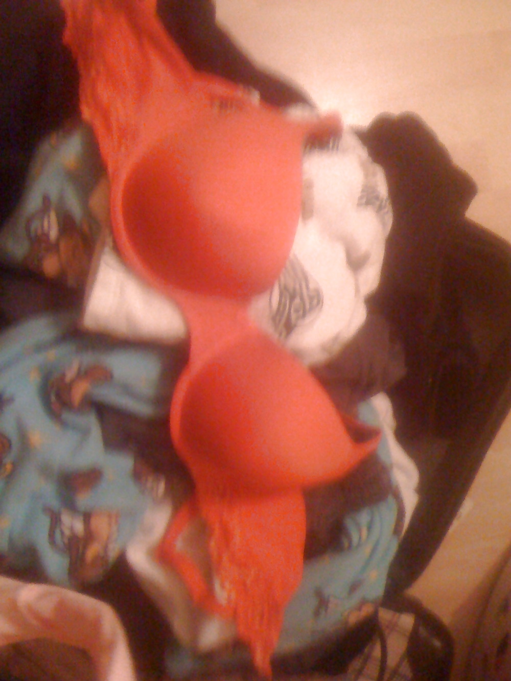 Friend's girl's bras and panties porn gallery