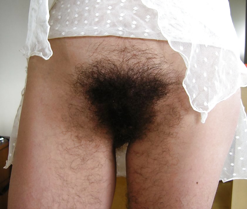 Hairy Pussy Mix 4 porn gallery