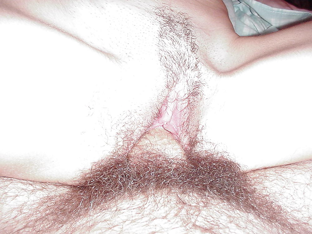 Nice hairy pussy gallery Part 2 porn gallery