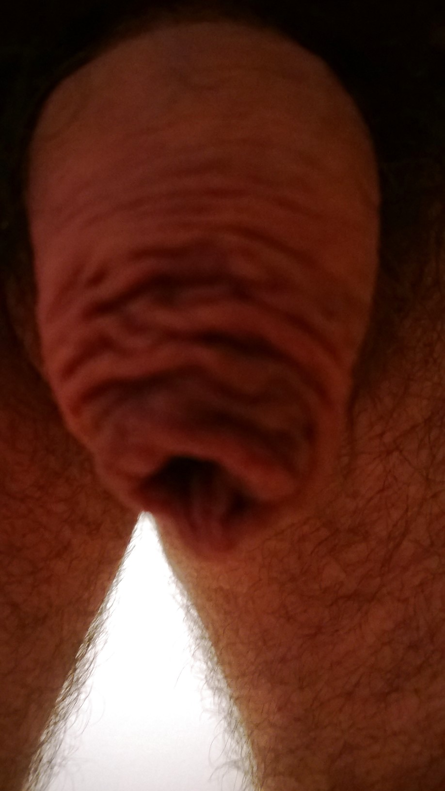 The cocksucker point of view (close up pics) porn gallery