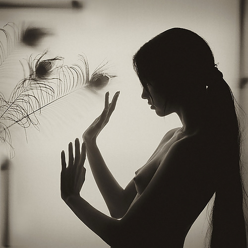 Arte Erotica porn gallery