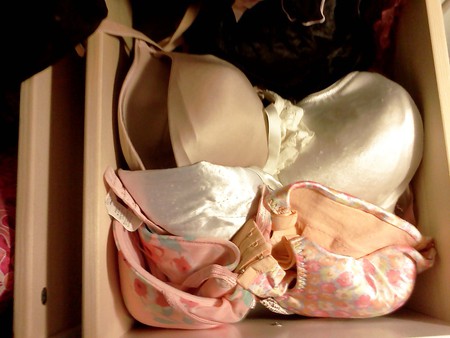 Wife's Panty and Bra Drawers