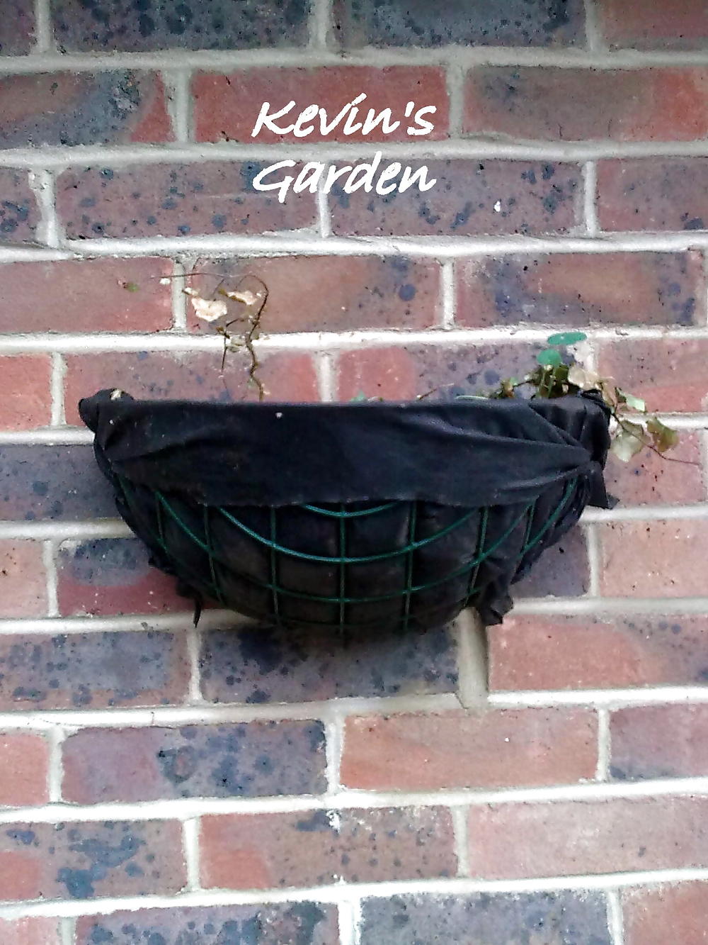 Darlington porn gallery