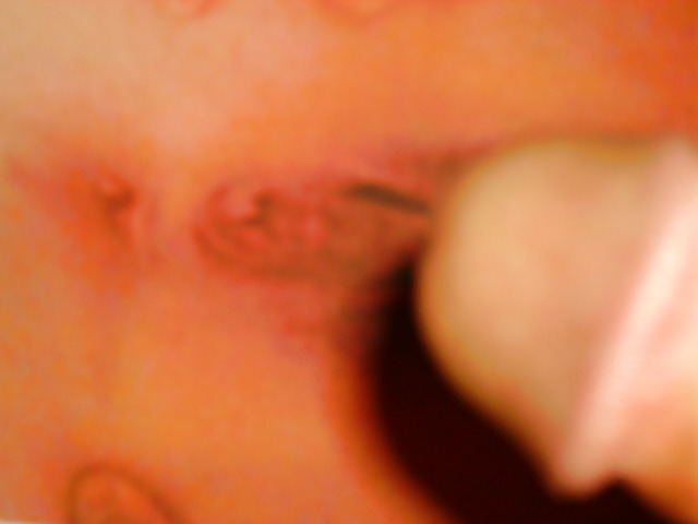 cum tribute for discusr6 porn gallery