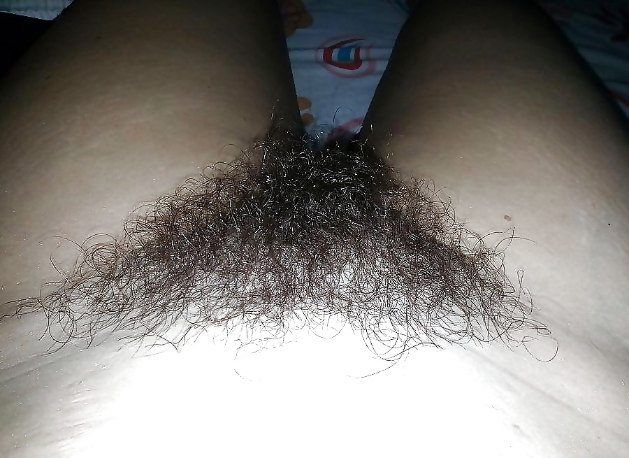 Hairy pussy amateurs porn gallery