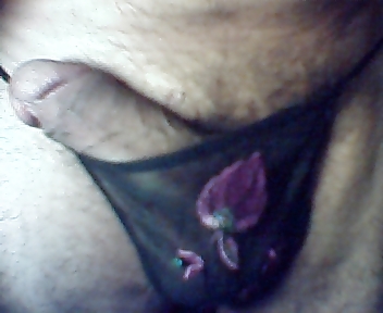 string mayro me rodo porn gallery