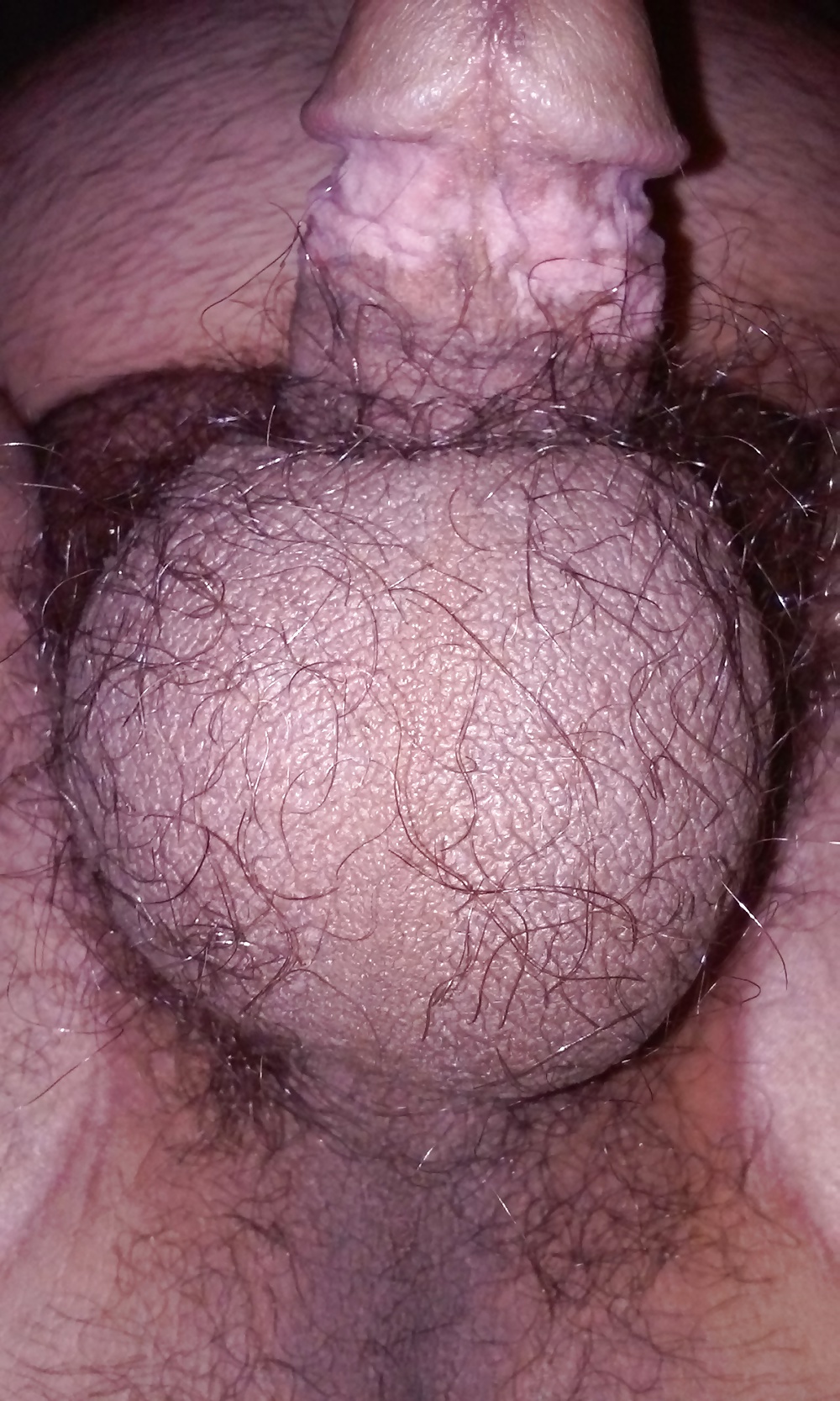 suck my balls porn gallery