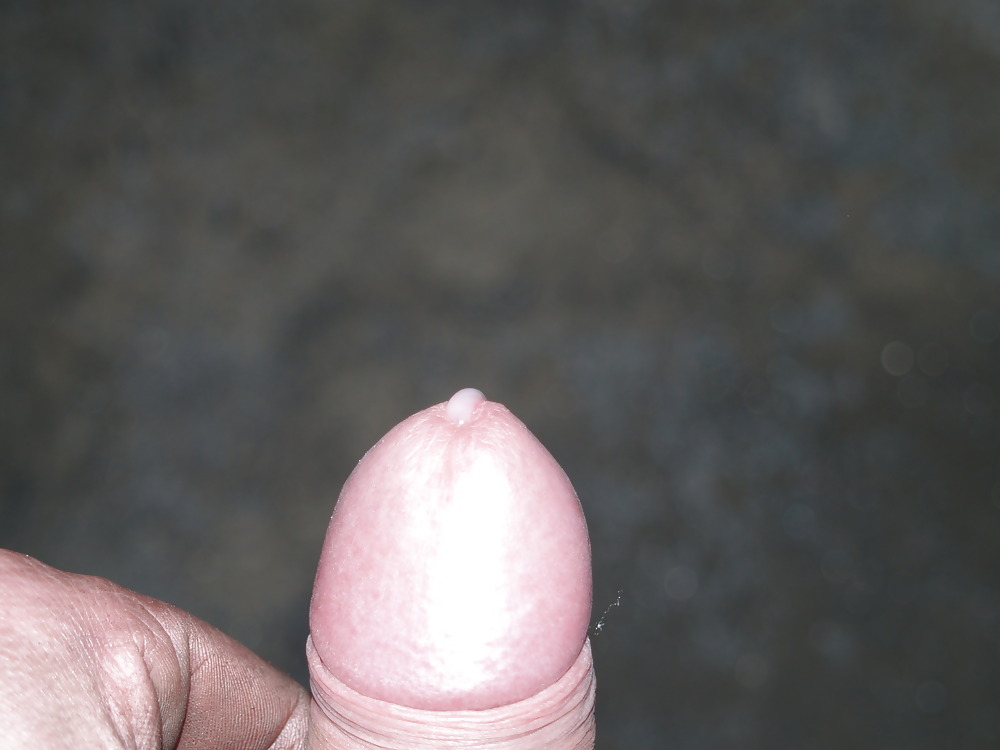 pussy and cock porn gallery