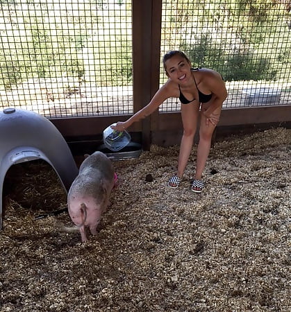 wife feeding our pig