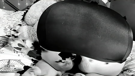 sexy bbw possessed nun photoset         