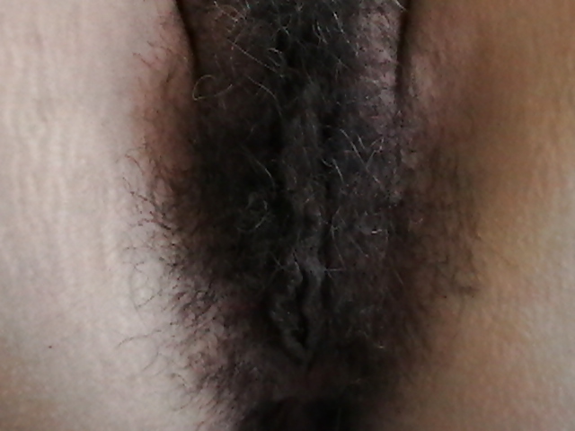 More Hairy Latin Lady porn gallery