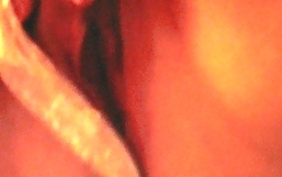 sex cam porn gallery