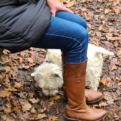 Erotic stiefel meiner freundin XXX album thumbnail