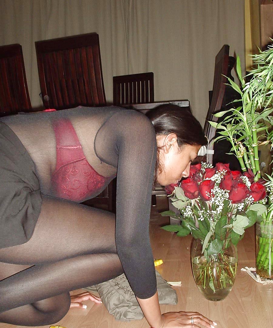 New Nylons 1 porn gallery