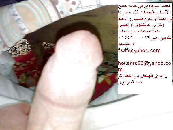my arab cock 4 all womn 01225100029 porn gallery