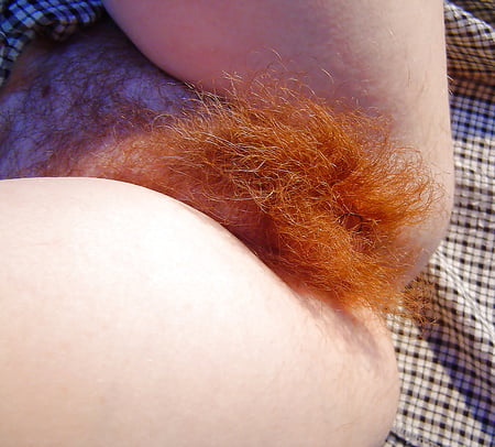 HAIRY PUSSY CLOSE UP