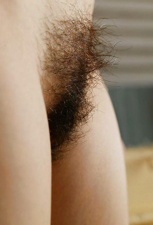 Hairy 16 porn gallery