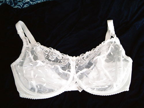 Nice big bras porn gallery