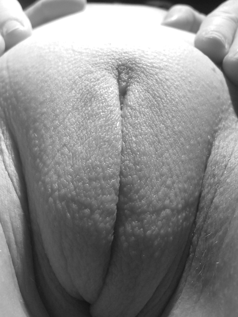 Black and white pussy closeups porn gallery