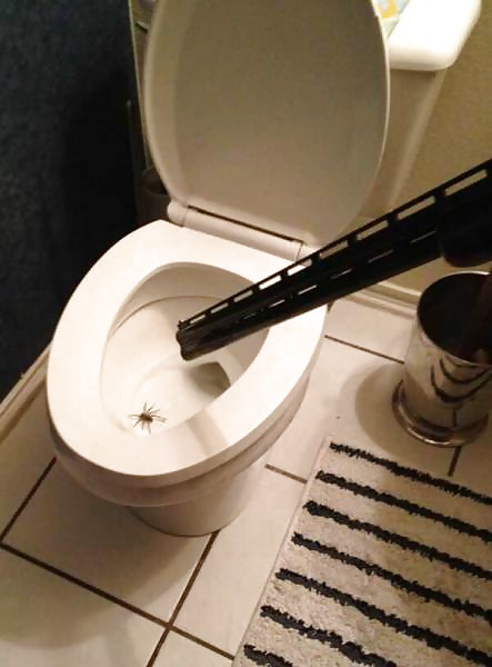 Girls and Diverses 31 porn gallery